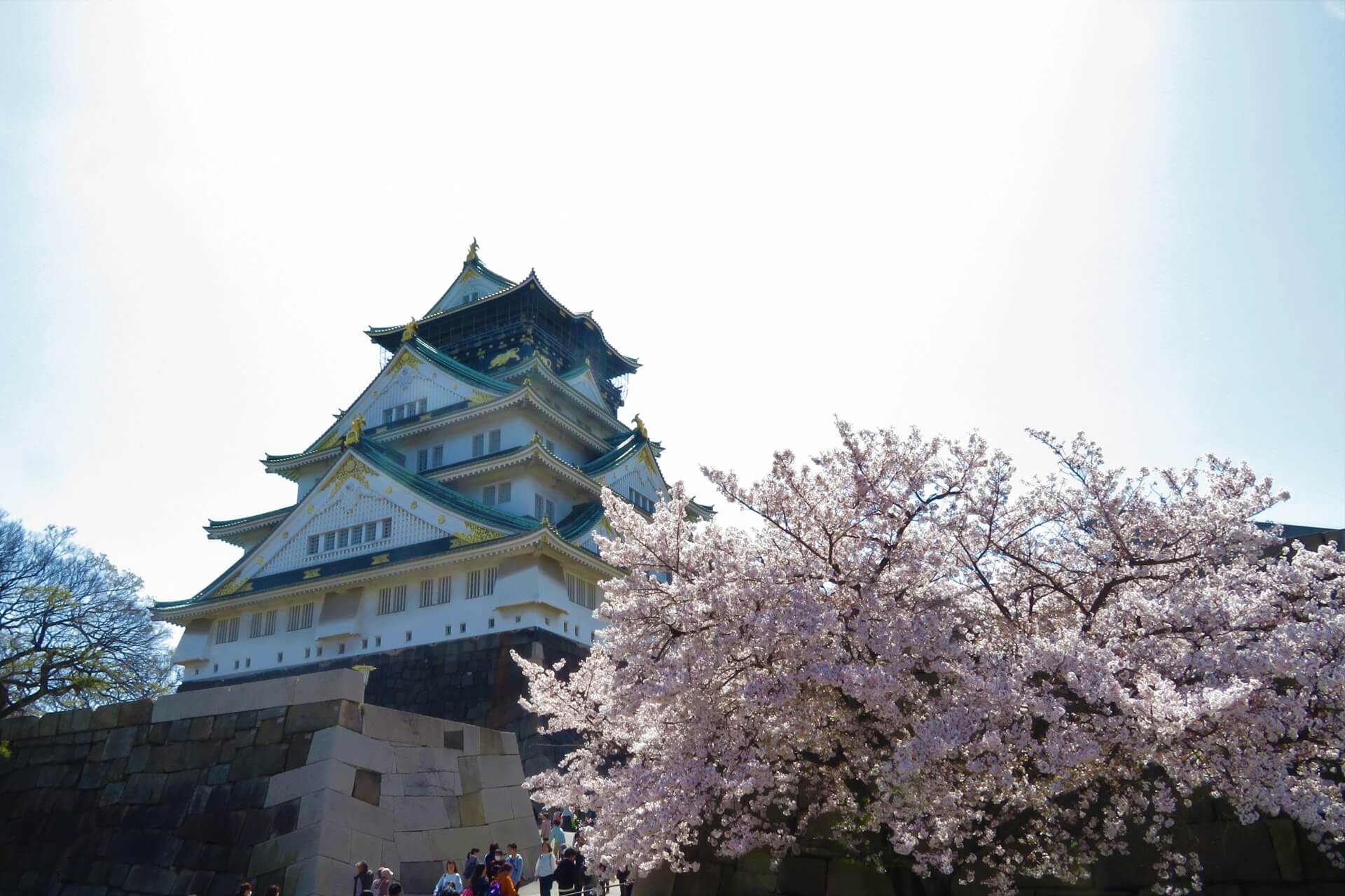 年今年もやってきました 大阪城お花見バーベキュー予約スタートです qらぼ